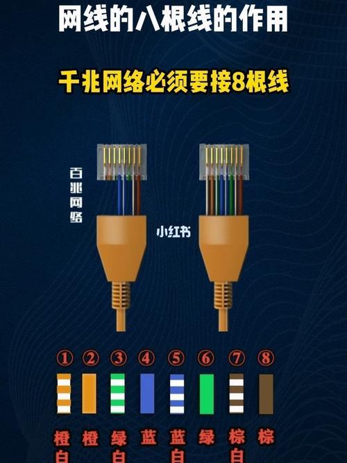 网线八根的作用