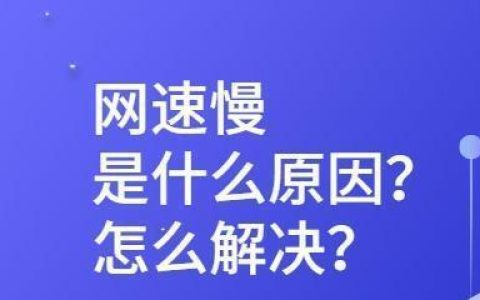 上网速度变慢怎么办？