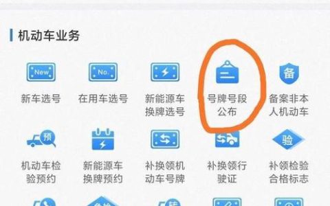 如何通过车牌号查询车主号码？