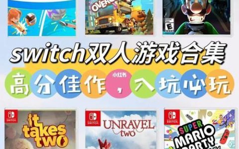 NS网线：让你的Switch畅享网络