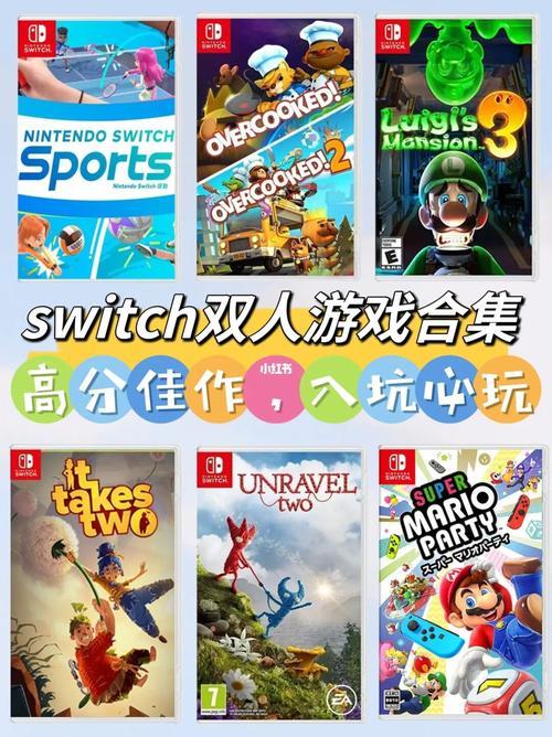 NS网线：让你的Switch畅享网络