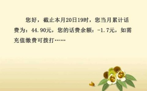话费负数是什么意思？