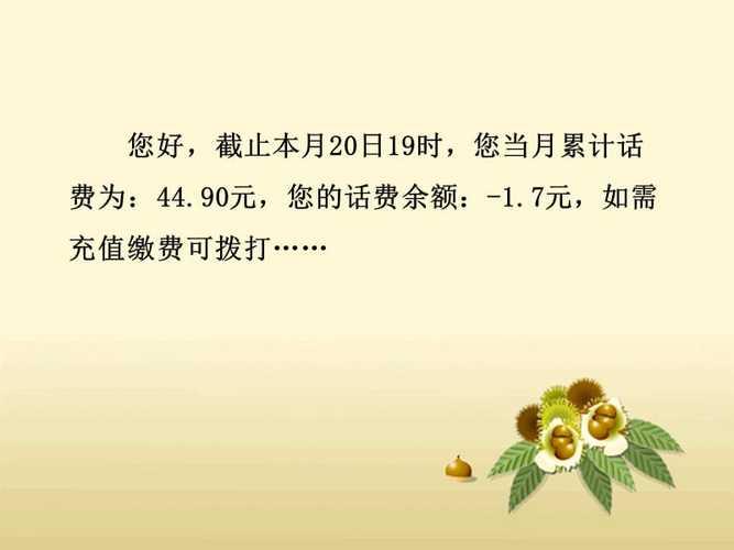 话费负数是什么意思？