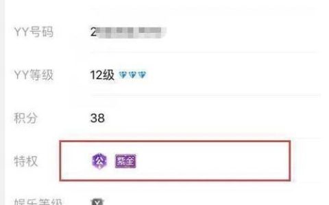 YY号码购买指南：如何挑选和购买靓号